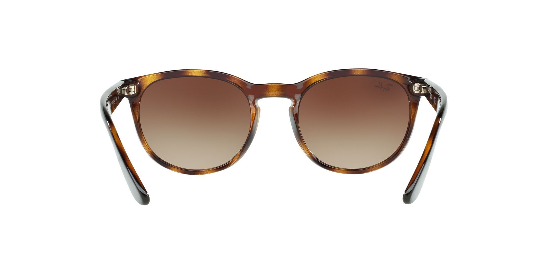 RAYBAN With Phantos Havana Frame Online