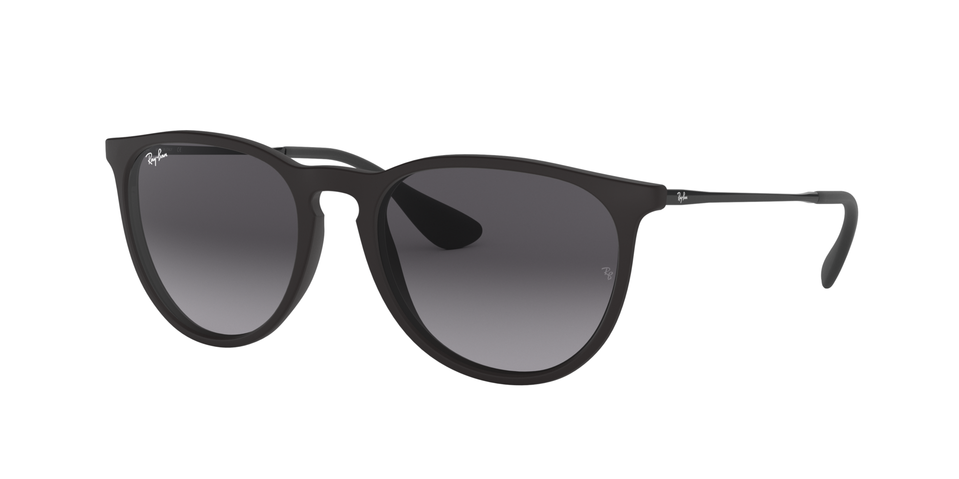 ERIKA CLASSIC Black Sunglasses