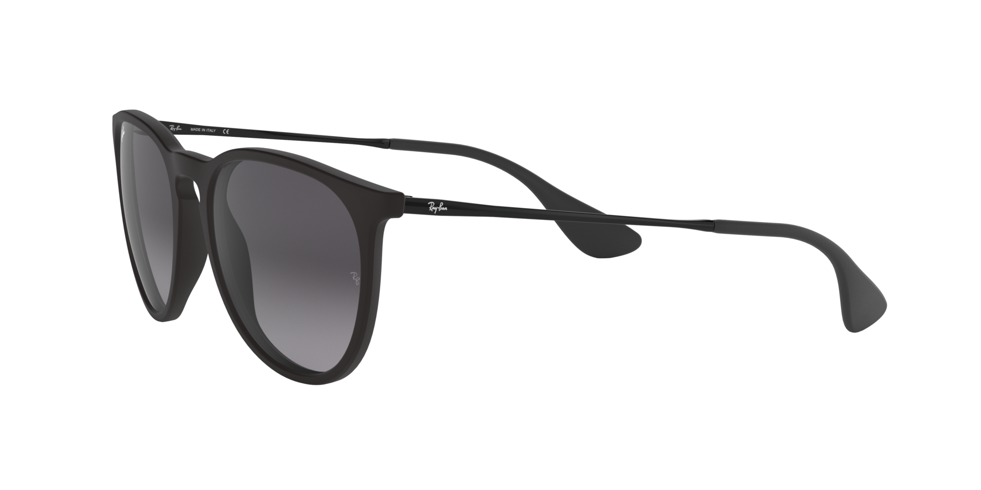 ERIKA CLASSIC Black Sunglasses