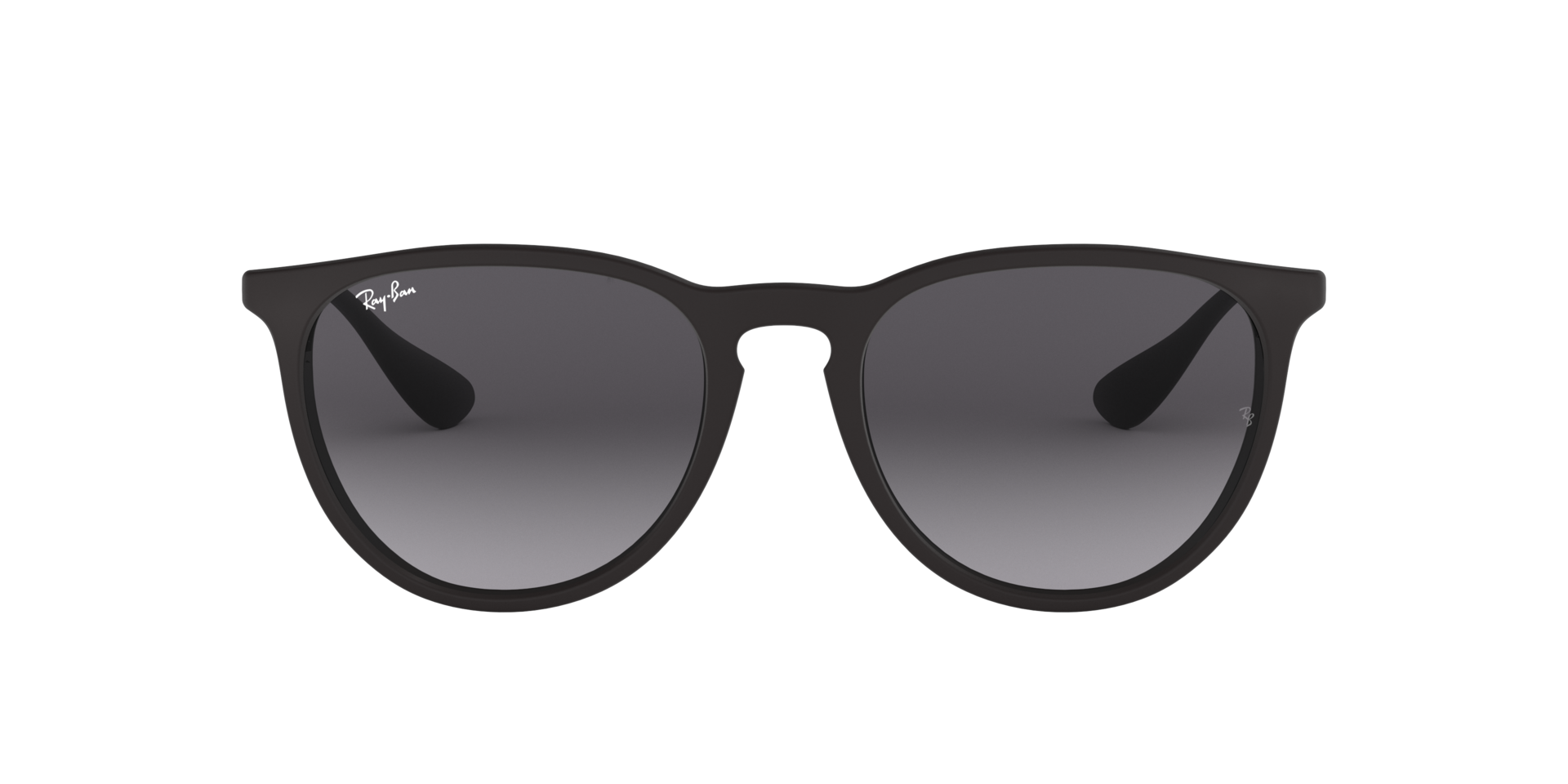ERIKA CLASSIC Black Sunglasses