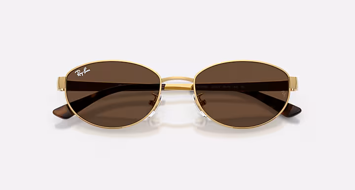 RAYBAN Arista Gold and Dark Brown