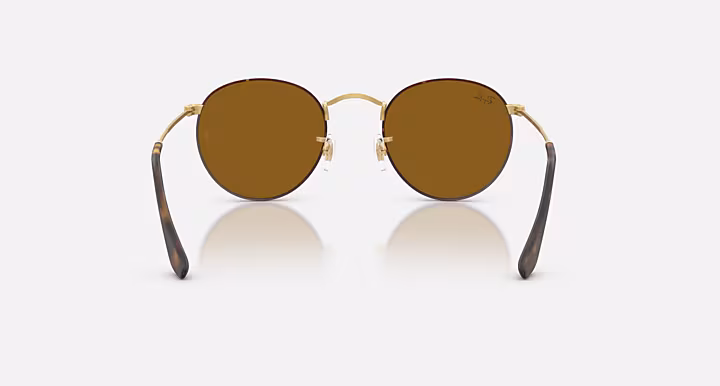 RAYBAN ROUND METAL Sunglasses in Matte Havana