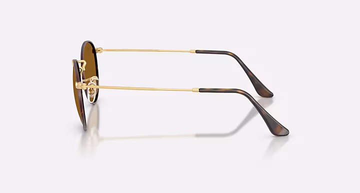 RAYBAN ROUND METAL Sunglasses in Matte Havana