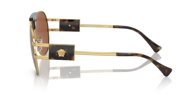 Versace 0VE2252 147073 - Gold / Dark Brown Polished Havana Men's Sunglasses