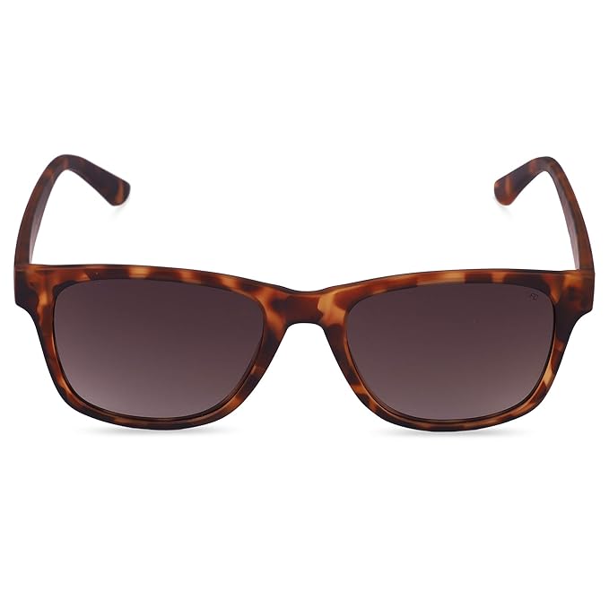 FCUK French Connection Gradient Wayfarer Men's Sunglasses - (FC 7582 C1 53|53|Green Color Lens)