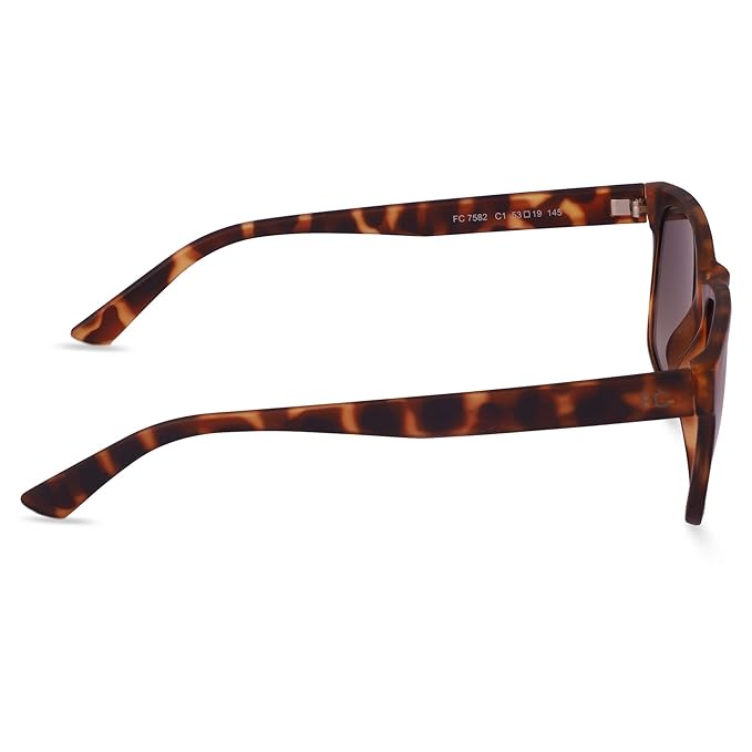 FCUK French Connection Gradient Wayfarer Men's Sunglasses - (FC 7582 C1 53|53|Green Color Lens)