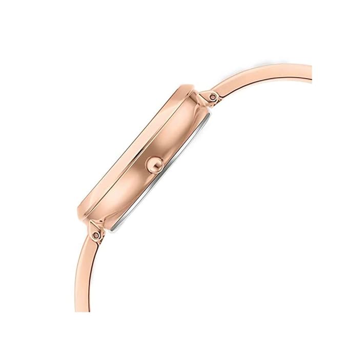 Titan Raga Viva Quartz Analog Rose Gold Dial Rose Gold Metal Strap Watch For Women