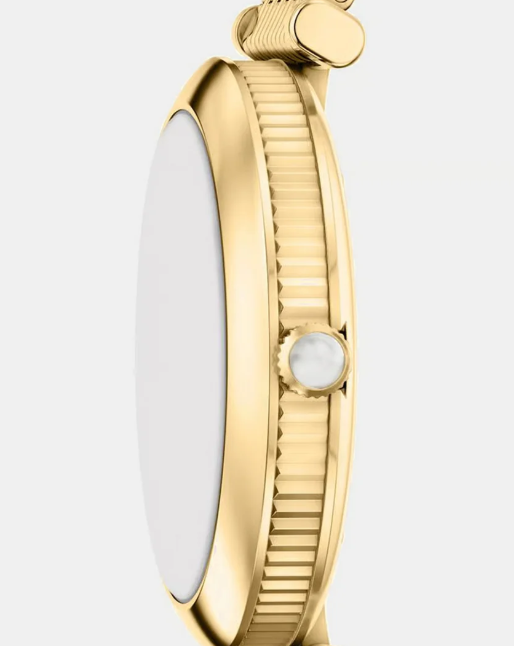 Women Quartz Brown Dial Analog Stainless Steel Watch