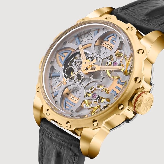 Era Men Automatic Silver Dial Analog Leather Watch