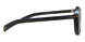 David Beckham Sunglasses
