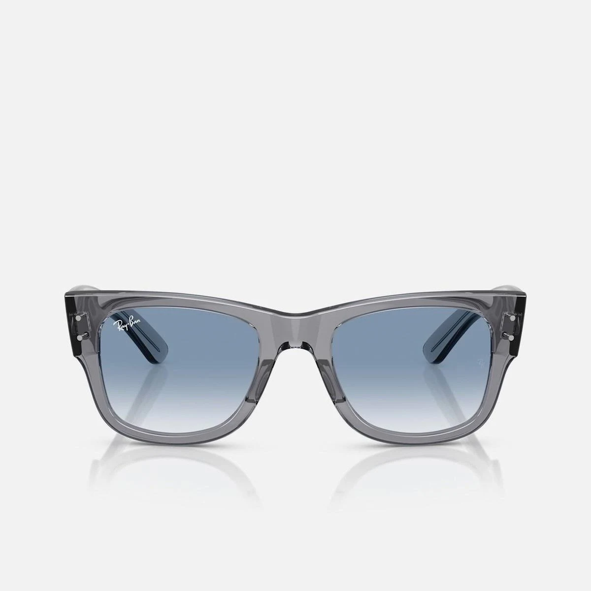 RAY-BAN UV-Protected Wayfarer Sunglasses